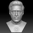 1.jpg Tony Stark Robert Downey Jr Iron Man bust for 3D printing