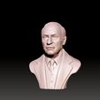 13.jpg Carl Jung 3D printable sculpture 3D print model