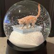 1677088197145494231.jpg Kitty Litter Snow Globe