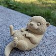 b36f4a12-1c1d-46de-8b83-15a397d84e99.jpg Nutria marina con concha