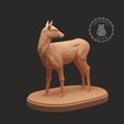 doe_3_logo.png Deer Miniatures Set