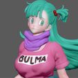 20.jpg BULMA SEXY GIRL DRAGONBALL ANIME ANIMATION 3D PRINT