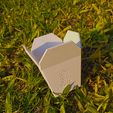 macet 1.jpg Chinese takeout box, succulent PLANTER