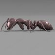 hormiga didactica.jpg Realistic ant