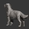 English-Setter11.jpg English Setter 3D print model
