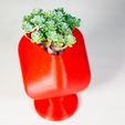 _MG_3432.jpg QBCO | POT FOR SUCCULENTS
