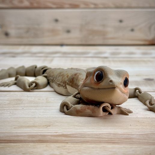 IMG_0611.jpeg Bebé Beardie (dragón barbudo)