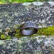 20240511_121755.jpg Viking celtic ring