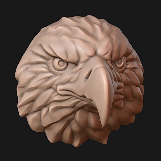 Eagle head 3D model