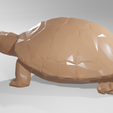 turtle3.png Low poly animal turtle