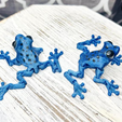 7.png Cinder Frog, Articulating Frog, Tree Frog, Dart Frog, Cinderwing3D, Articulating Flexible Fidget Cute Print in Place No Supports