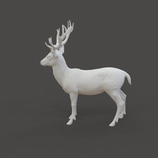 Deer_1.2.jpg Fallow Deer Sculpture