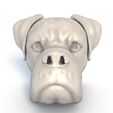 Boxer-Dog-Head0006.jpg Tête de chien Boxer