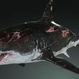 09.jpg SHARK, DOWNLOAD Shark 3D modeL - Animated for Blender-fbx-unity-maya-unreal-c4d-3ds max - 3D printing SHARK SHARK FISH - TERROR  - PREDATOR - PREY - POKÉMON - DINOSAUR - RAPTOR