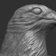 0ZBrush-Document.jpg Eagle open wings - wall relief