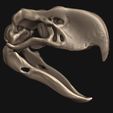 06.jpg Terror bird- birds terror skull in 3D