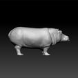 Hippopotame3.jpg Hippopotame -Hippopotamidae - Hippo 3d model for 3d print - Hippo toy