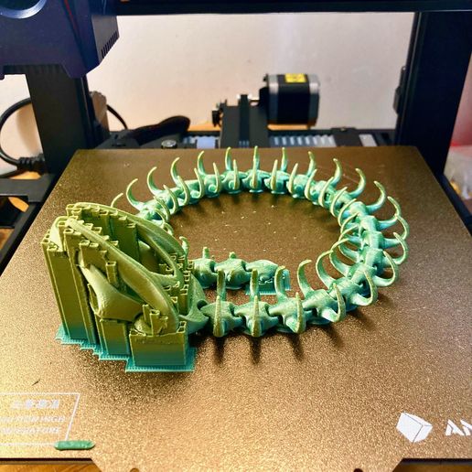 image4.jpeg artikuliert snake skeleton