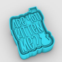 1_2.jpg STL file are you kitten me - freshie mold・3D printing model to download