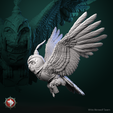 OWL_1.png Magic owl pre-supported