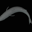 Barracuda-huba-trophy-23.png fish great barracuda statue detailed texture for 3d printing