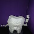 DSC_0261.jpg Hallowen monster Zombie teeth dental, diente zombie