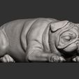 pug-for-3d-printing-3d-model-2fb021a9ee.jpg pug is sleeping 3D print model