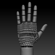 Articulated-Hand5.png Articulated Hand Model