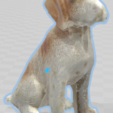 chien.png Little dog