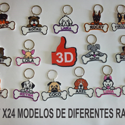 IDENTIFICADORES DE MASCOTAS.png STL file Set x24 Dog tags ( work from home)・Model to download and 3D print