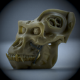 Untitled_Viewport_004.png Gorilla mechanical damaged head ready to Print