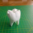WhatsApp Image 2020-12-26 at 23.39.40.jpeg STL file Tooth business card holder for dentist・3D print model to download