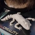 Leopard Gecko Articulated Toy, Print-In-Place Body, Snap-Fit Head, Cute Flexi