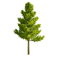 Realistic-Green-Tree.png Realistic Green Tree