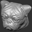 17.jpg Pug head for 3D printing
