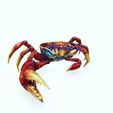 0_00062.jpg Crab - DOWNLOAD Crab 3d Model - animated for Blender-Fbx-Unity-Maya-Unreal-C4d-3ds Max - 3D Printing Crab Crab Crab - POKÉMON - DINOSAUR