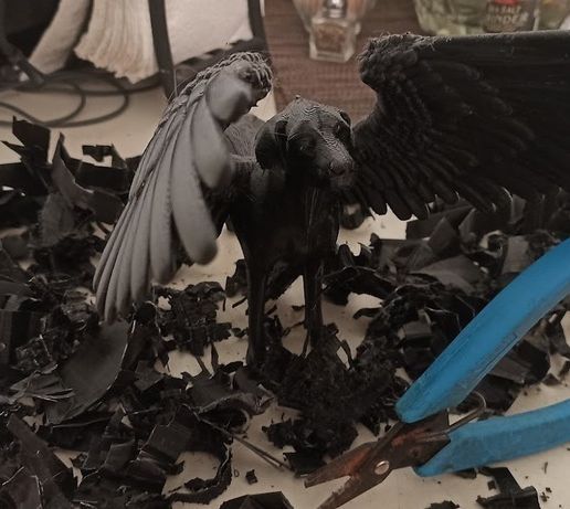 cdfc9c07-3ec8-45e7-bd5d-0208b2761bb0.jpg Angel Doggo