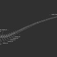 Ref_01.jpg Skeleton of Vélociraptor real size Part04/05