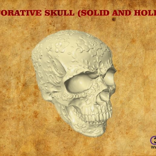 DecorativeSkull.jpg Crâne décoratif (solide et creux)