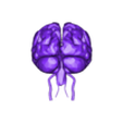 brain obj.obj 3D Model of Brain and Blood Supply - Circle of Willis