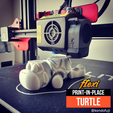 flexi-turtle.png Archivo STL gratuito tortuga flexible・Idea de impresión 3D para descargar