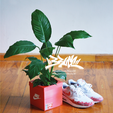 1-01.png Nike box pots