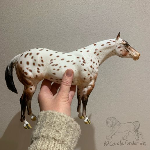 Isabella - Quarter Horse Mare