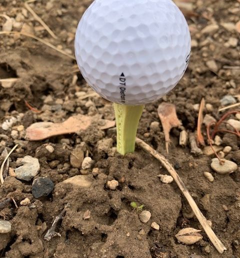IMG_2632.jpg Golf ball tee