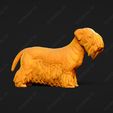 3383-Cesky_Terrier_Pose_03.jpg Cesky Terrier Dog 3D Print Model Pose 03