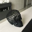 IMG_3133.JPG Voronoi skull