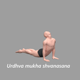 Urdhva-mukha-shvanasana.png YOGA