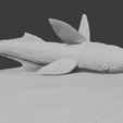 Whale-shark-closeup2.png Remora with Whaleshark Wall Art