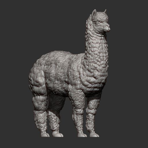 alpaca10.jpg alpaga