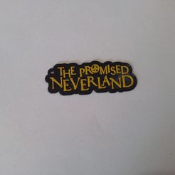 The-Promised-Neverlamd.jpg Archivo STL Llavero The Promised Neverland Anime・Modelo para descargar y imprimir en 3D